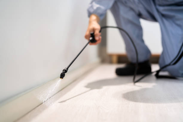Licensed Termite Control service in Bryan, OH - Nex Pest Control