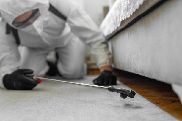 Professional Termite Control technician working in Bryan, OH
