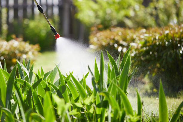 24/7 Emergency Termite Control experts in Bryan, OH