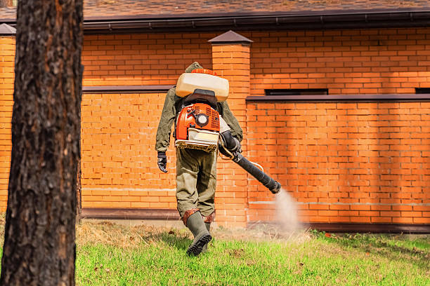 Top rated local Termite Control specialists in Bryan, OH